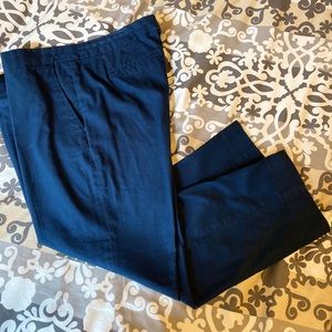 Banana Republic navy ankle/crop pants